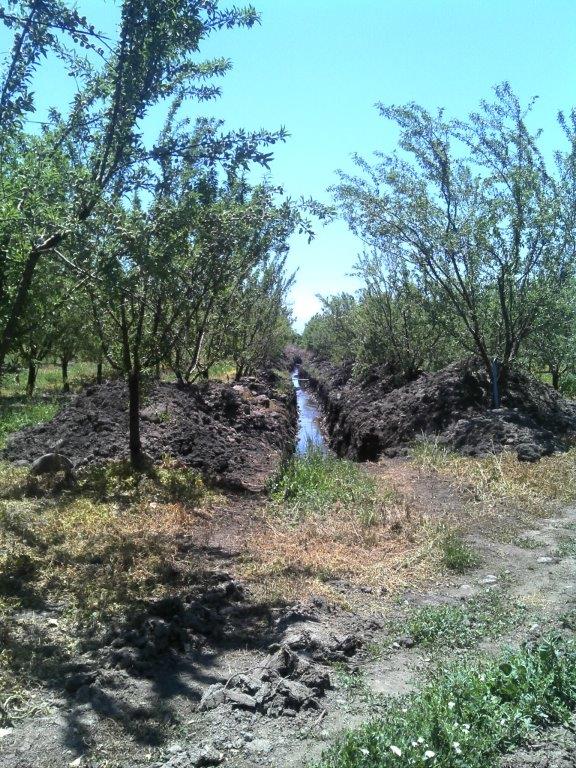 DGA DEL MOP OHIGGINS MULTA A 2 EMPRESAS AGRÍCOLAS POR EXTRACCIÓN NO AUTORIZADA DE AGUAS 3