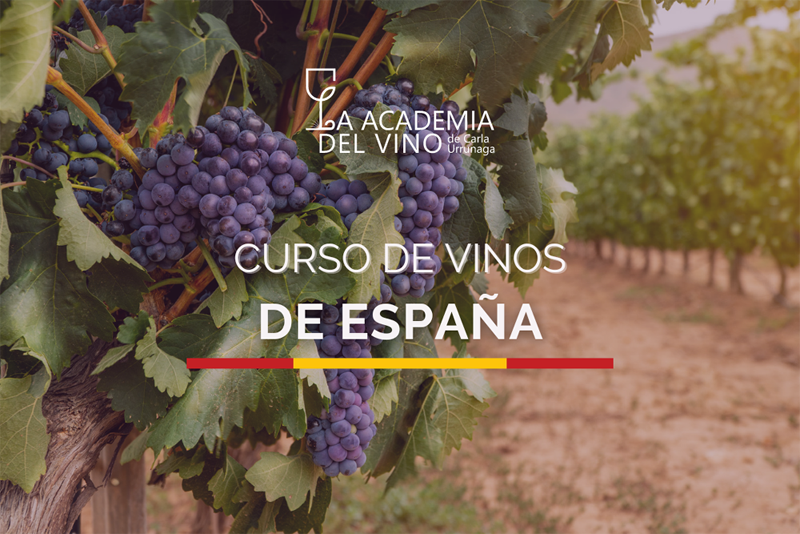 CURSO Y CATA DE VINOS DE ESPAÑA PARA APRENDER JUNTO A LA ACADEMIA DEL VINO 1 vinos de españa n1