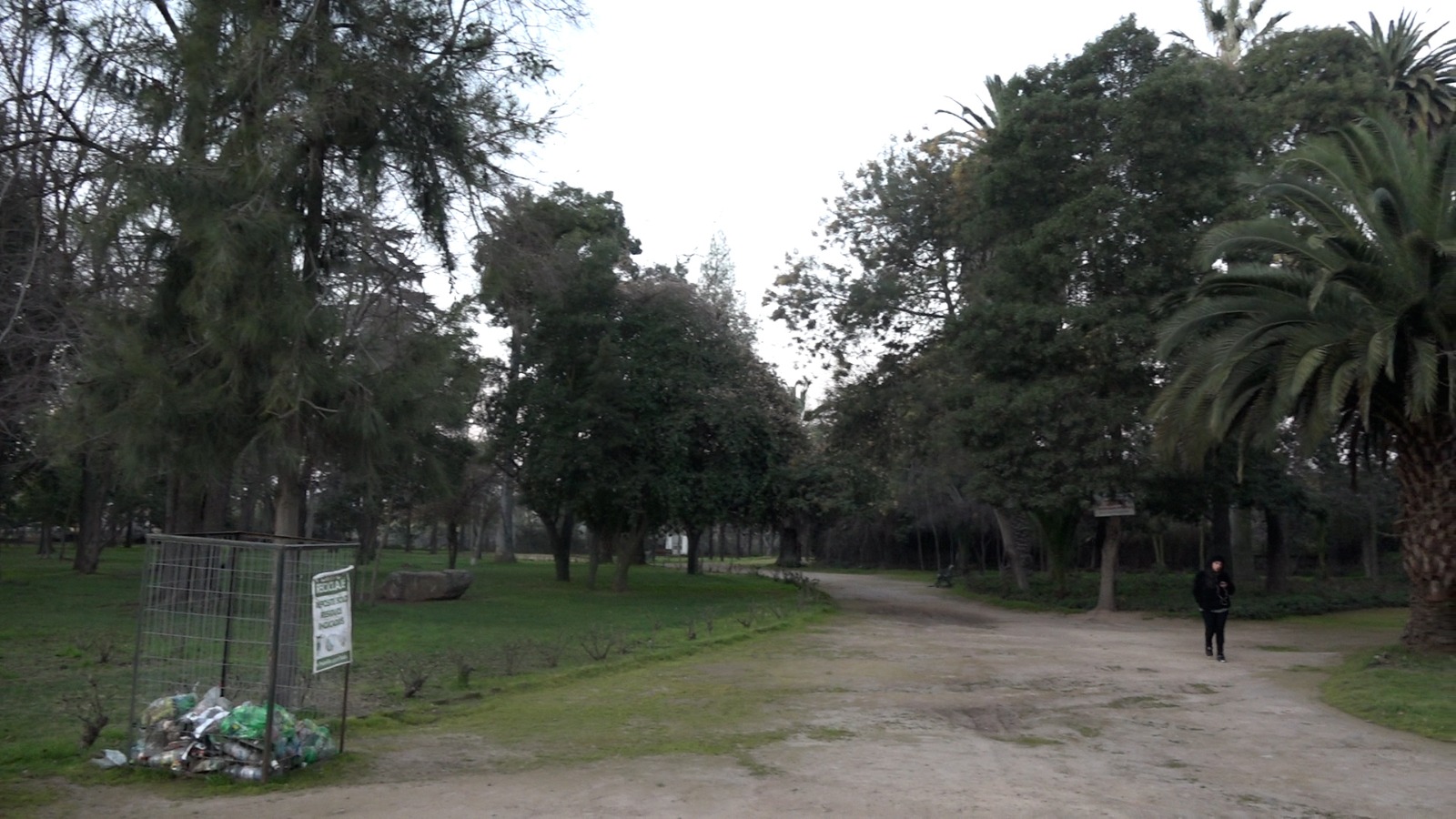GOBERNADOR REGIONAL ENVIARÁ A CORE PROYECTO DE MEJORAMIENTO DE PARQUE FEDERICO ERRÁZURIZ v1