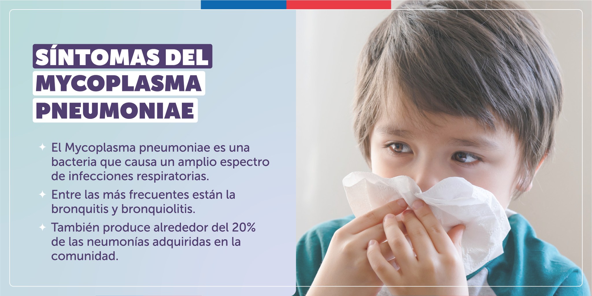 SEREMI DE SALUD REFUERZA RECOMENDACIONES ANTE INFECCIONES RESPIRATORIAS POR MYCOPLASMA Micoplasma 1