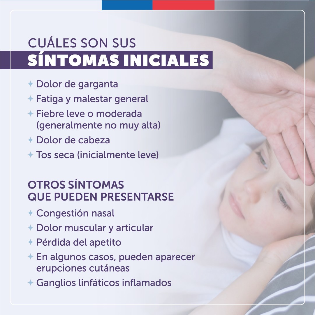 SEREMI DE SALUD REFUERZA RECOMENDACIONES ANTE INFECCIONES RESPIRATORIAS POR MYCOPLASMA Micoplasma 3