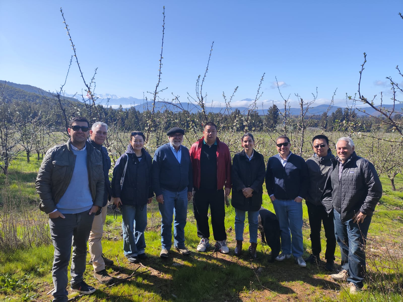 EMPRESA FRUTÍCOLA DE OHIGGINS TENDRÁ VENTA DIRECTA A CHINA GRACIAS A VISITA COMERCIAL ORGANIZADA POR PROCHILE