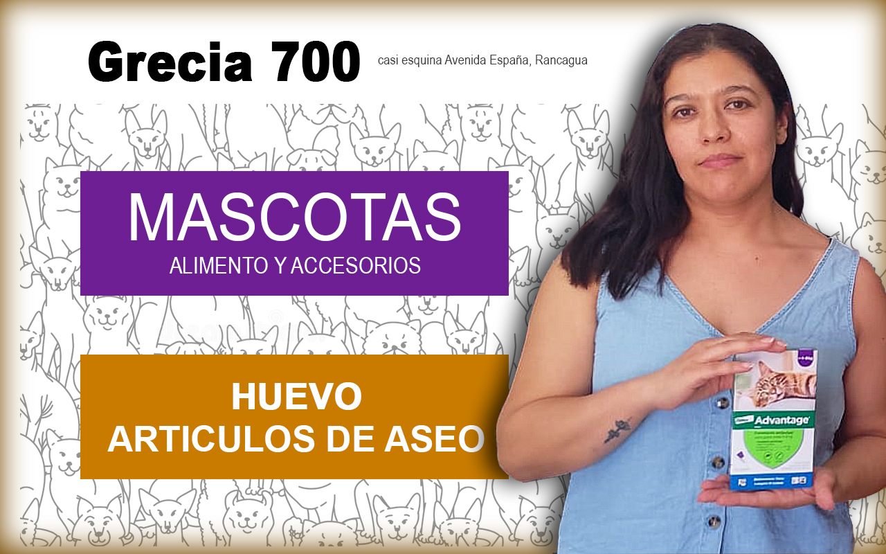 HUEVOS FRESCOS, ALIMENTO PARA MASCOTAS A GRANEL Y CONFIANZA: EL COMERCIO DE BARRIO QUE SE SOSTIENE EN LO COTIDIANO