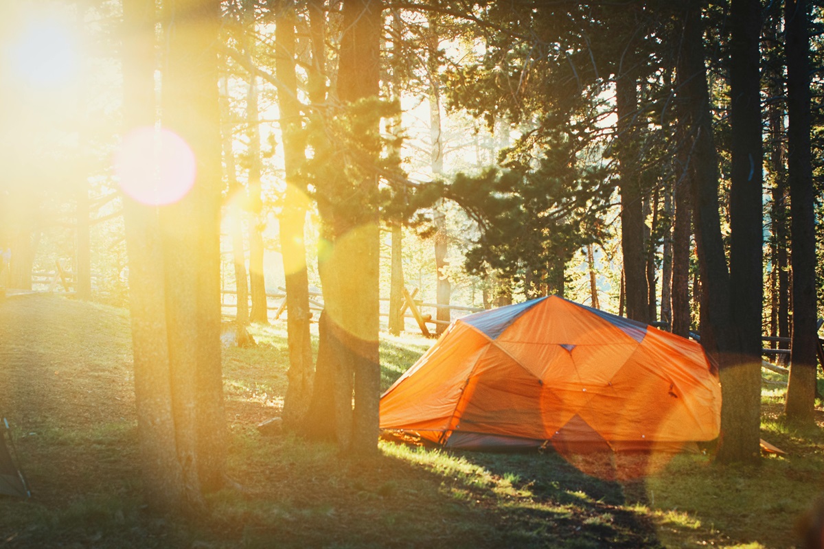 WOLFSPORT tent