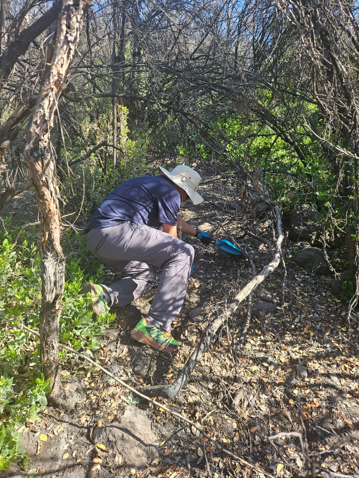 INVESTIGADORES ESPECIALISTAS EN INCENDIOS FORESTALES PRESENTAN SEMINARIO INTERNACIONAL EN LA RN RÍO DE LOS CIPRESES 2