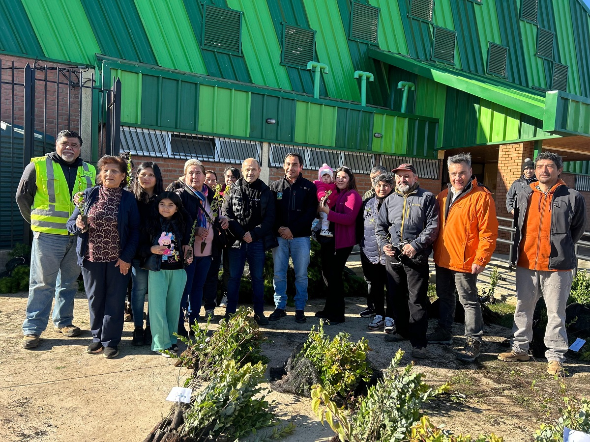 CORMA MAULE IMPULSA LA REFORESTACIÓN CON ENTREGA DE MÁS DE 150 MIL PLANTAS EN LA REGIÓN Plantaciones 1