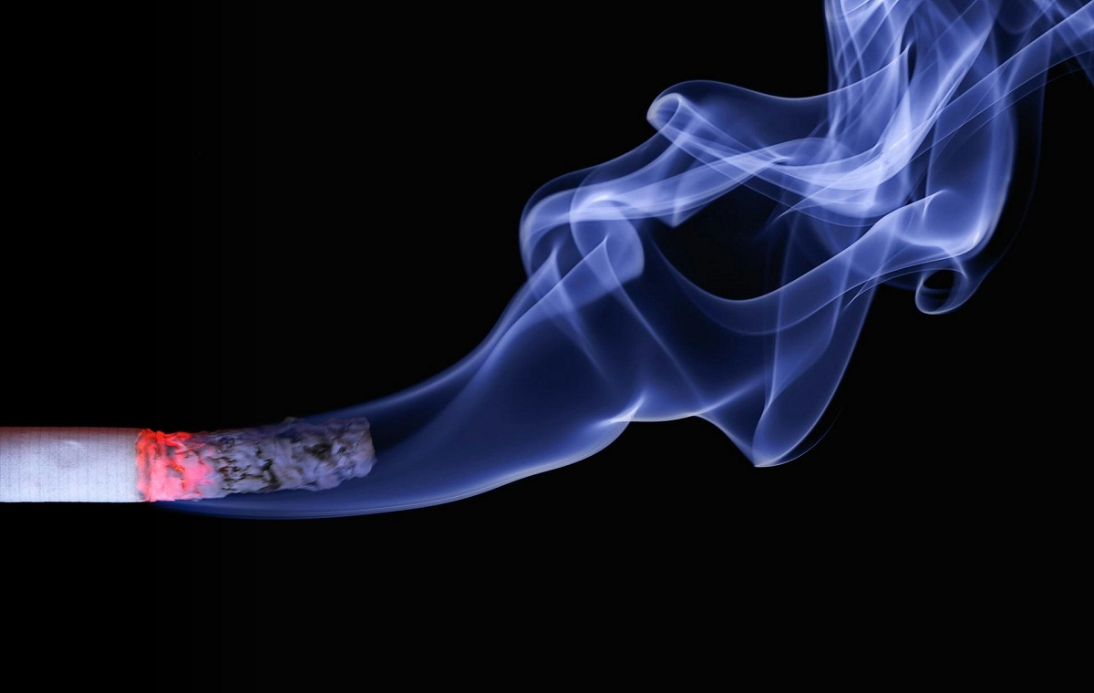 Día mundia sin fumar cigarette smoke embers ash 70088