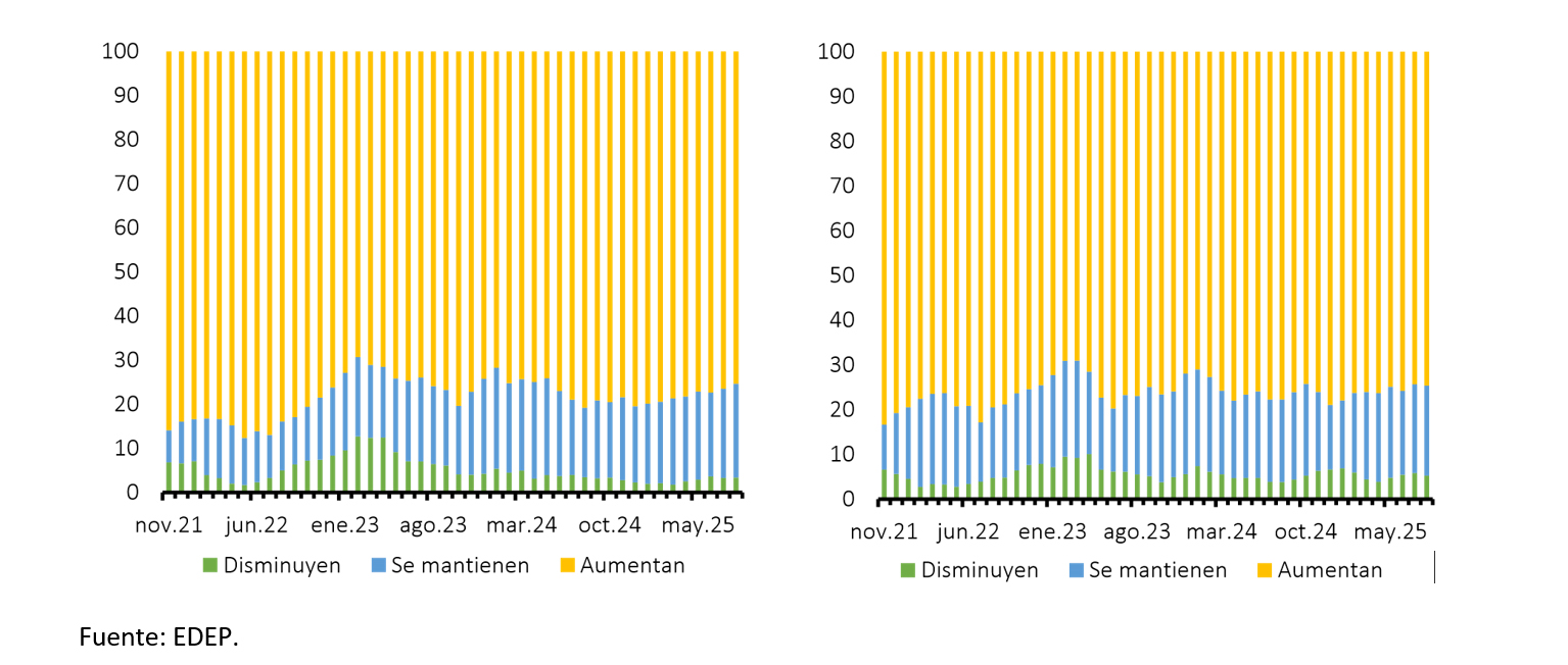 Banco Central publica resultados de Encuesta de Determinantes y Expectativas de Precios del trimestre móvil junio julio agosto de 2025 grafico 