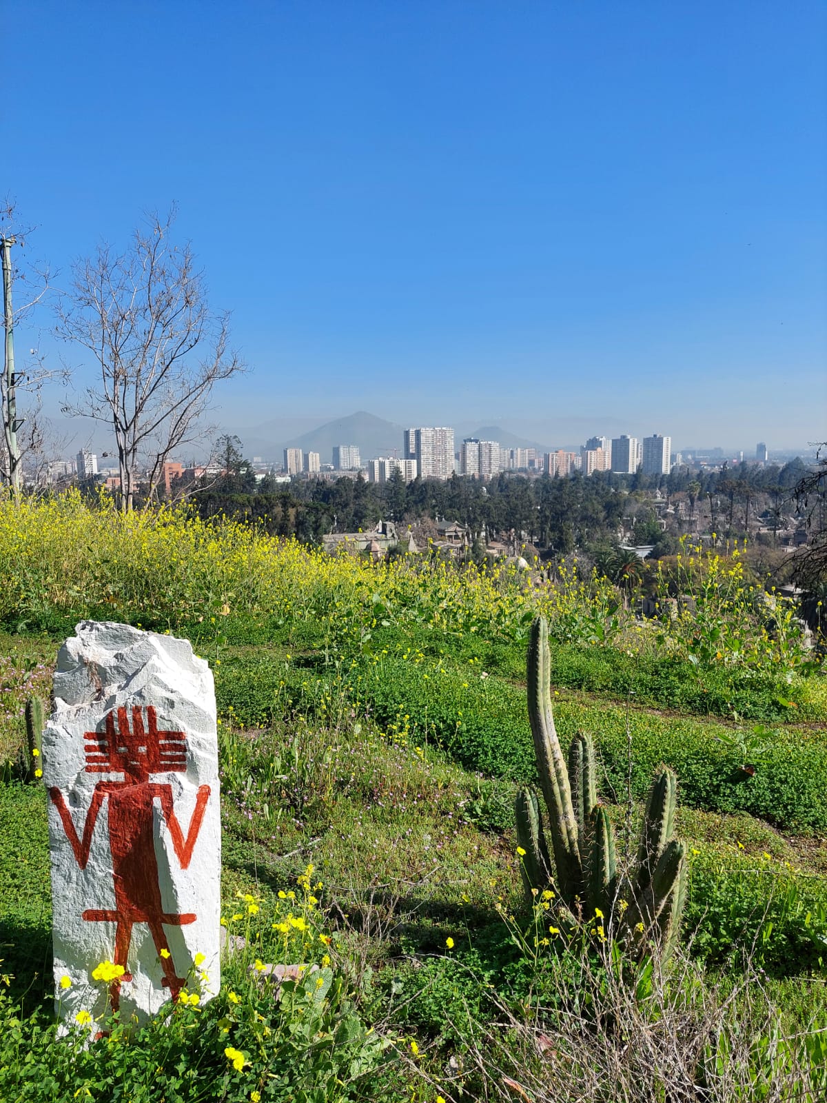 FUNDACIÓN FÉNIKA TE INVITA A VIVIR EL DÍA DE LOS CERROS 2025 D2