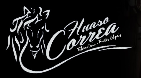 logo huaso correa